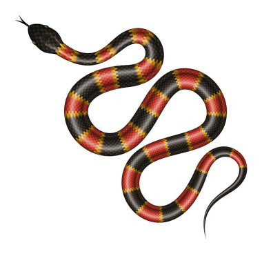 Tropical snake vector illustration. vector Tropical snake vector illustration. vector