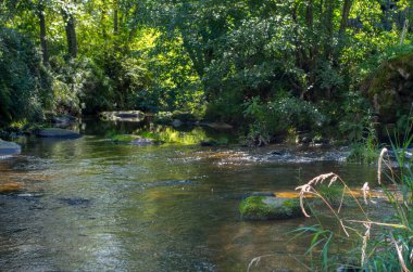Malse Avusturya 'da ve Çek Cumhuriyeti' nde bir nehirdir.