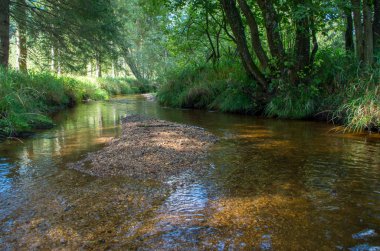 Malse Avusturya 'da ve Çek Cumhuriyeti' nde bir nehirdir.