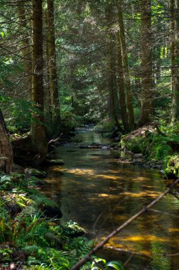 Malse Avusturya 'da ve Çek Cumhuriyeti' nde bir nehirdir.