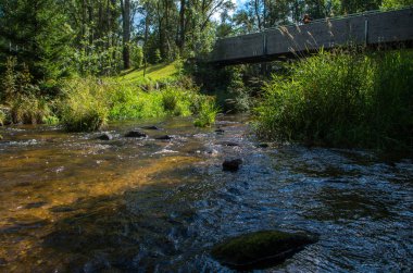 Malse Avusturya 'da ve Çek Cumhuriyeti' nde bir nehirdir.