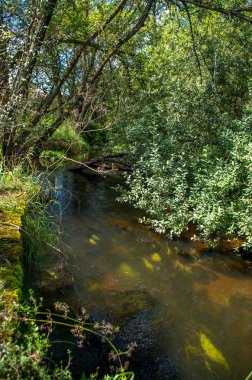 Malse Avusturya 'da ve Çek Cumhuriyeti' nde bir nehirdir.