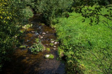Malse Avusturya 'da ve Çek Cumhuriyeti' nde bir nehirdir.