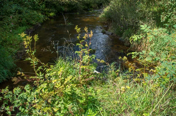 Malse ist ein Fluss in Österreich und in der Tschechischen Republik — Stockfoto