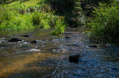 Malse Avusturya 'da ve Çek Cumhuriyeti' nde bir nehirdir.