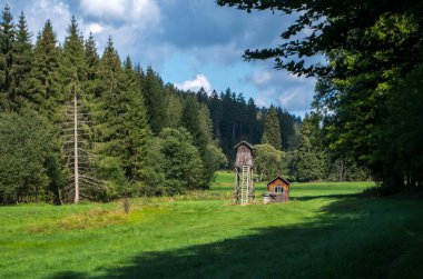 Ağaç standı ya da geyik standı