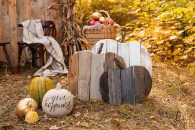 Ormandaki harika sonbahar dekorasyonu
