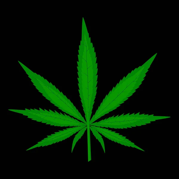 Esrar yaprak siyah arka plan üzerine