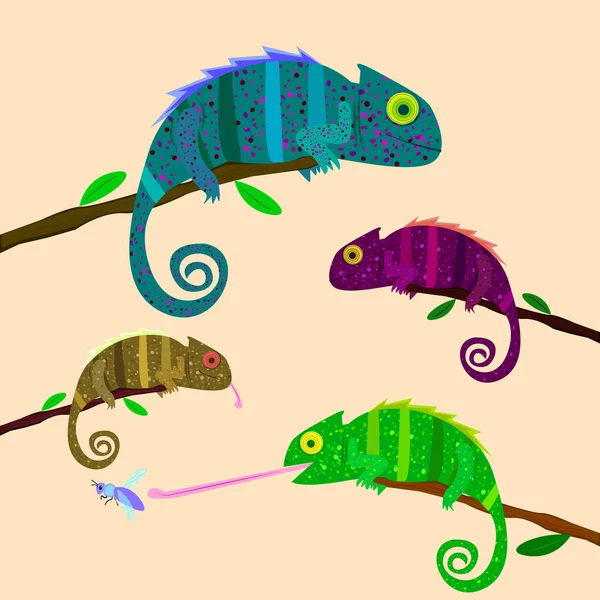 Conjunto de coloridos camaleones sentados en la rama sobre fondo claro — Vector de stock