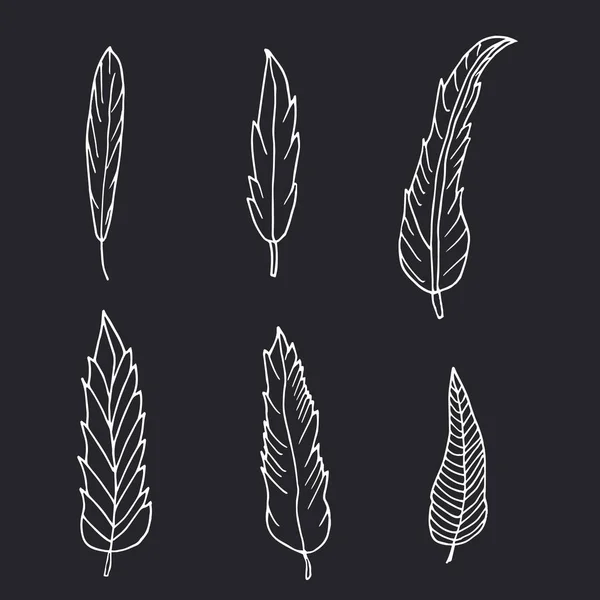 El kümesi tüyler siyah arka plan üzerine çekilmiş..