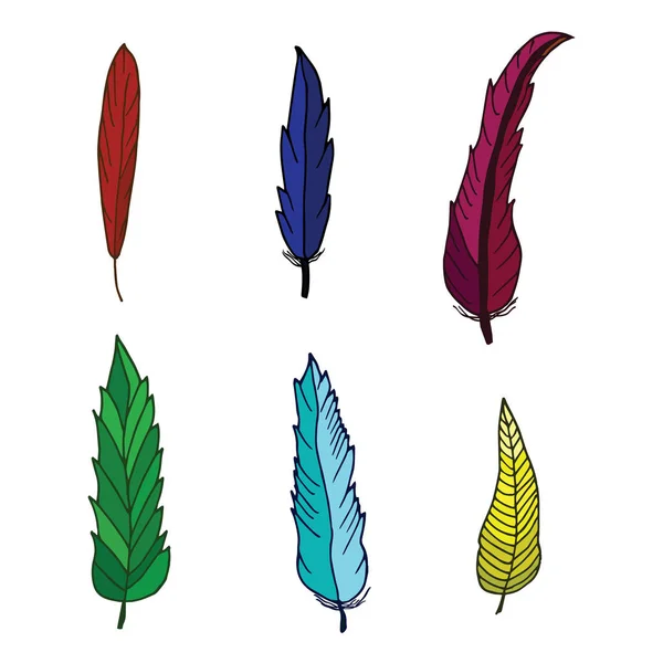 Set of bird colored feathers isolated on white background. Beautiful elements for decoration. Hand drawn feathers — Stock Vector