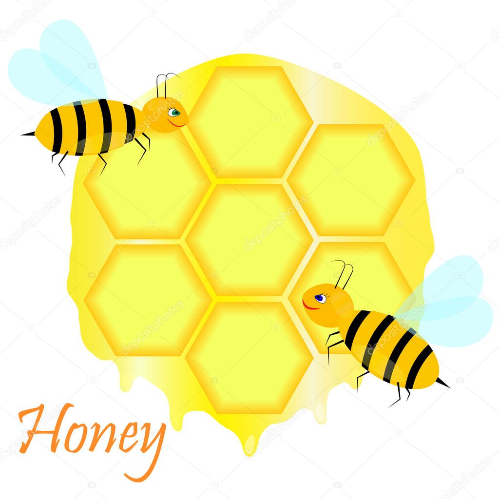 Cute bees on honeycomb in apiary