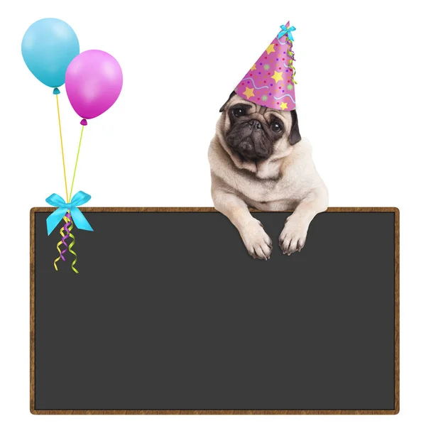 Adorable pug puppy dog hanging with paws on blank sign with balloons and wearing party hat, on white background — Stock Photo, Image