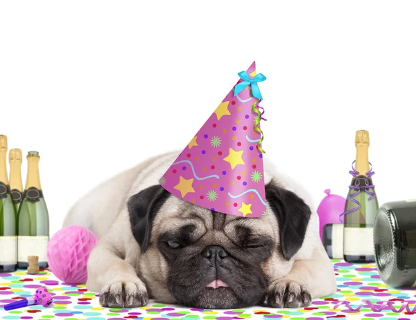 Cute pug puppy dog wearing party hat, lying down on confetti, fed up and drunk on champagne, tired of partying, on white background — Stock Photo, Image