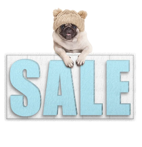 Cute pug puppy dog wearing knitted hat for winter cold, hanging with paws on big sale sign, isolated on white background — Stock Photo, Image