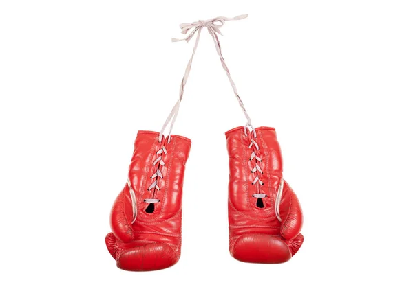 Pug dog boxer punching with red leather boxing gloves Stock Photo