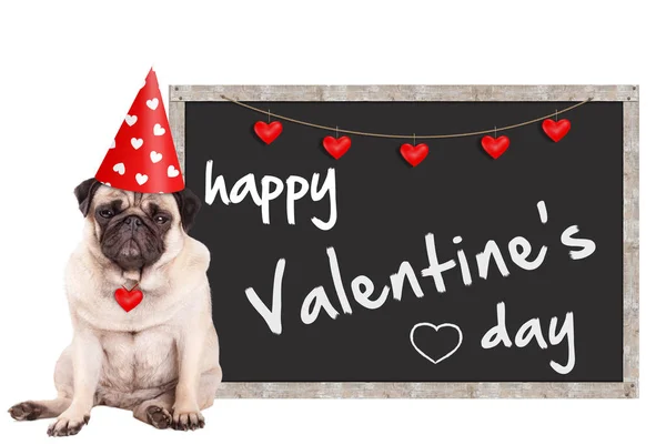 Mops śliczny szczeniak pies noszenie czapki z serca, siedzący obok tablica znak z tekstu szczęśliwy valentine's day, na białym tle — Zdjęcie stockowe