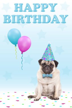 tatlı huysuz pug köpek yavrusu köpek parti şapka, balon, konfeti ve metin mutlu doğum, mavi arka plan ile karşı karşıya