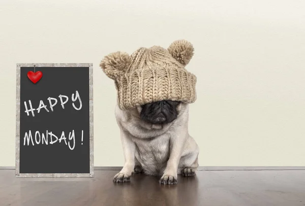 Cute pug puppy dog with bad monday morning mood, sitting next to blackboard sign with text happy monday, copy space — Stock Photo, Image