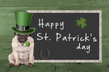 St patrick's day yasaktır boru, at nalı ve yonca, sonraki boş yazı tahtası işaretiyle yeşil ahşap arka plan üzerinde oturan cüce şapkalı güzel pug köpek yavrusu