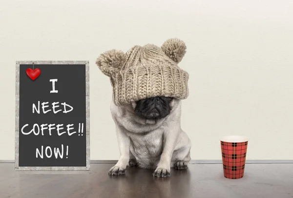 Akıllı pug köpek yavrusu köpek kötü sabah ruh, yanındaki yazı tahtası işaretini metin ile oturup kahve Şimdi, kopya alanı lazım