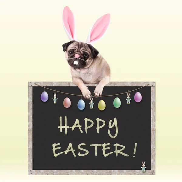 Sweet pug puppy dog with bunny ears diadem hanging with paws on chalkboard sign with text happy easter and decoration, on bright yellow background — Stock Photo, Image