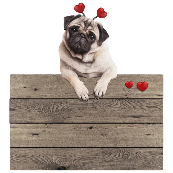 Chiot chiot chiot doux accroché avec des pattes sur le panneau promotionnel vintage en bois blanc avec des cœurs rouges, isolé sur fond blanc — Photo