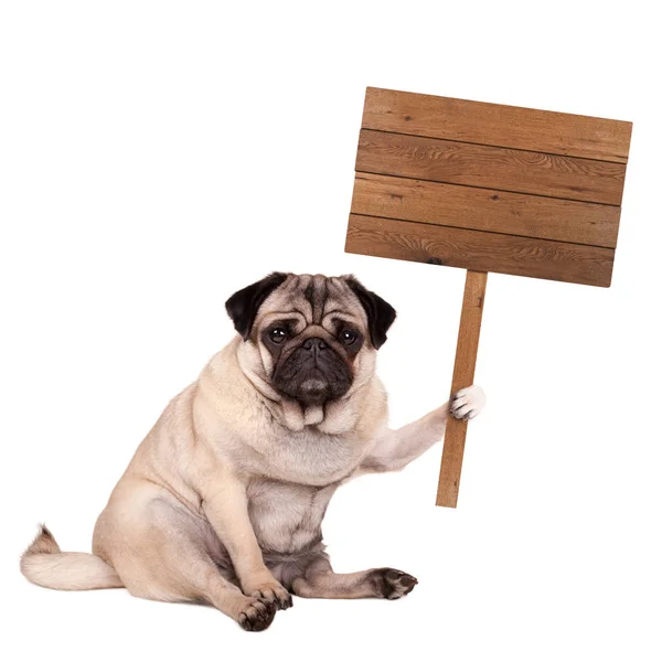 Pug puppy dog sitting down with blank wooden sign on pole, isolated on white background — Stock Photo, Image