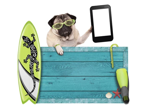 Pug dog on vacation with blue vintage wooden beach sign, surfboard and mobile phone / tablet, isolated on white background — Stock Photo, Image