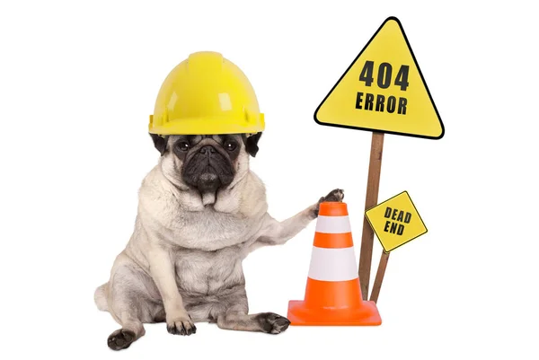 Pug dog with yellow constructor safety helmet and cone and 404 error and dead end sign on wooden pole — Stock Photo, Image