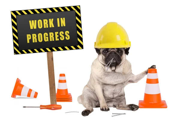 Oluşturucu güvenlik kask ile pug köpek ve sarı ve siyah yapım aşamasında ahşap direğe oturum açın