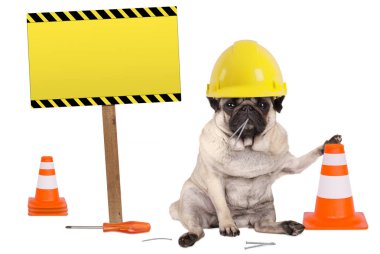 Sarı Oluşturucu işçisi kask ve koni artı ahşap direğe uyarı işareti ile pug köpek