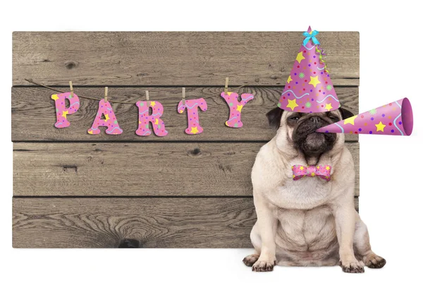 Pug puppy dog with pink party hat and horn and wooden sign with text party — Stock Photo, Image