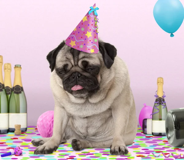 Pug puppy dog wearing party hat, lying down on confetti, drunk on champagne with hangover — Stock Photo, Image