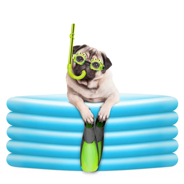 komik gözlük, şnorkel ve palet şişme havuzu ile kapışma pug köpek