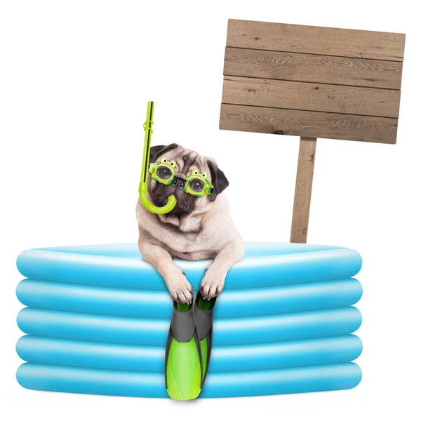 Divertido perro pug de verano con gafas, snorkel y aletas en piscina inflable — Foto de Stock