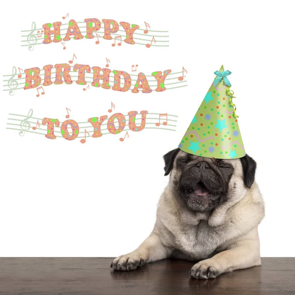 çok sevimli şirin pug köpek yavrusu köpek şarkı mutlu yıllar sana