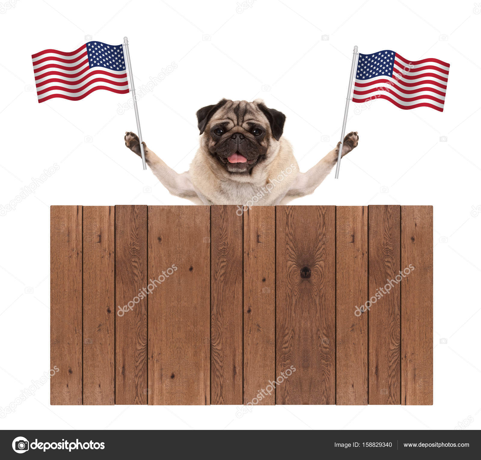 Resultado de imagem para DOG AMERICAN BANDEIRA