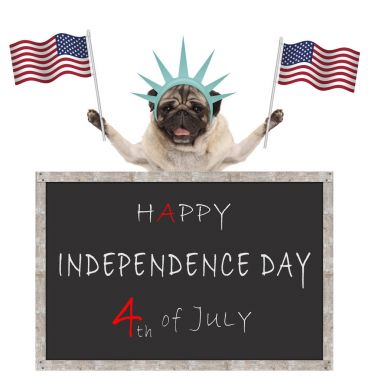 Amerikan bayrağı ve Özgürlük heykeli ile köpek yavrusu taç, blackboard metin mutlu 4 temmuzlar ve Bağımsızlık günü arkasında pug
