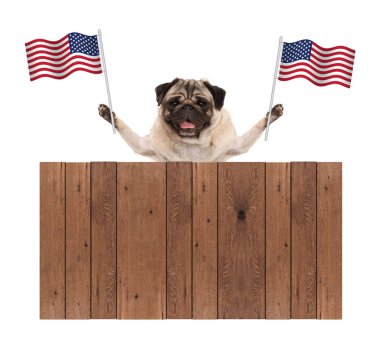 Amerikan bayrağı ABD ve ahşap çit ile köpek Pug yavrusu