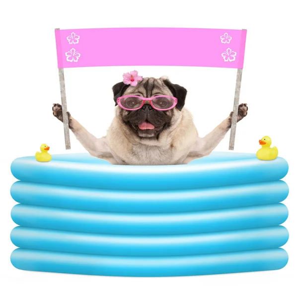 Feliz perro de pug de verano con gafas de sol y pancarta rosa en blanco en la piscina inflable —  Fotos de Stock