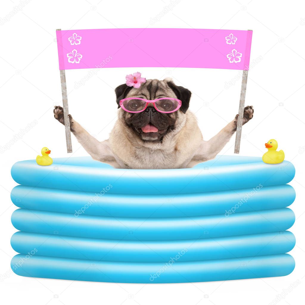 happy summer pug dog with sunglasses and blank pink banner sign in inflatable pool