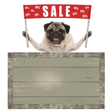 Kızıl bayrak işareti metin satış % ile kapalı, vintage ahşap tahta ile gidiyor mutlu sevimli pug köpek yavrusu 
