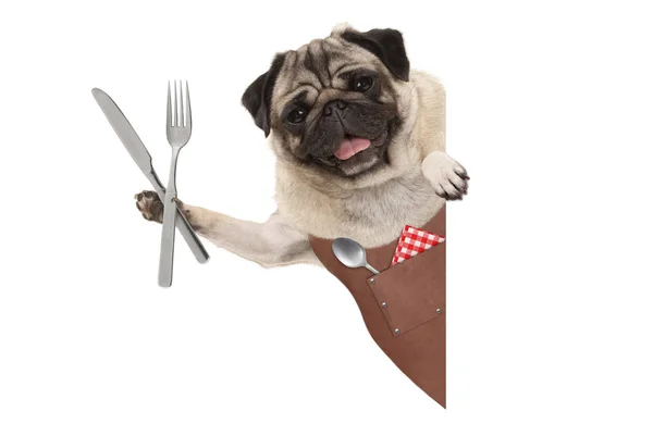 Boş afiş ile yemek yemek için çatal gidiyor pug köpek giyen deri Barbekü önlük, gülümseyen — Stok fotoğraf