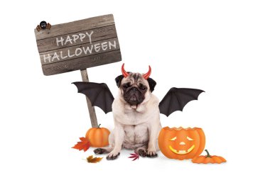 Pug köpek şeytan Cadılar Bayramı için komik balkabağı fener ve ahşap tahta ile giyinmiş,