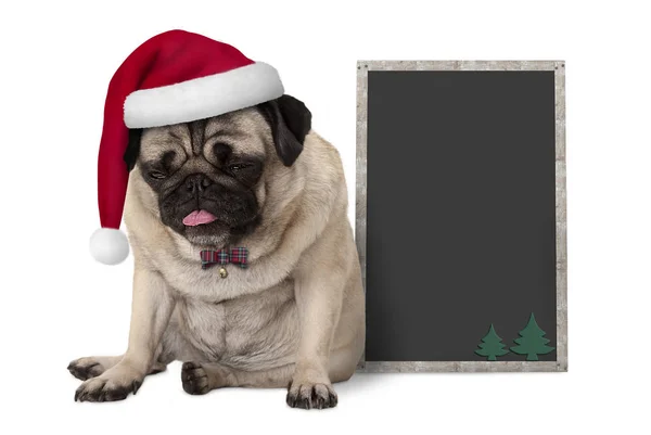 Cachorro gruñón de Navidad cachorro perro con sombrero de santa rojo sentado al lado de pizarra en blanco signo — Foto de Stock