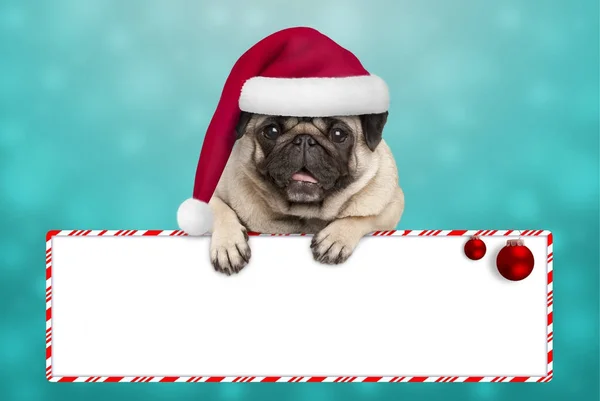 Χαριτωμένο χαμογελώντας Χριστούγεννα πατημασιά κουτάβι σκυλί με καπέλο santa, κρέμεται με paws στο κενό σύμβολο — Φωτογραφία Αρχείου