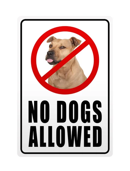 Förbudsskylt med text inga hundar tillåtna — Stockfoto