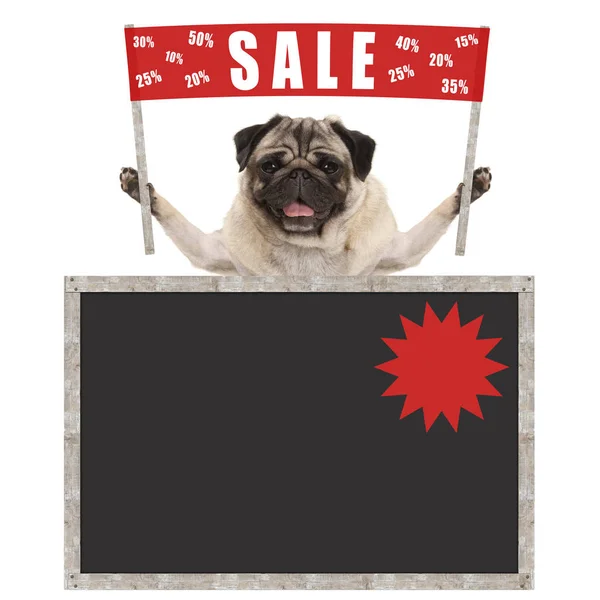 空の黒板をオフ、テキスト販売 % 赤いバナー看板を開催幸せかわいいパグ子犬 — ストック写真