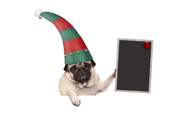 Χριστούγεννα πατημασιά κουτάβι σκυλί με κόκκινο και το πράσινο ξωτικό καπέλο κρατά ψηλά κενό μαυροπίνακα υπογράψει, κρέμεται από λευκό πανό — Φωτογραφία Αρχείου